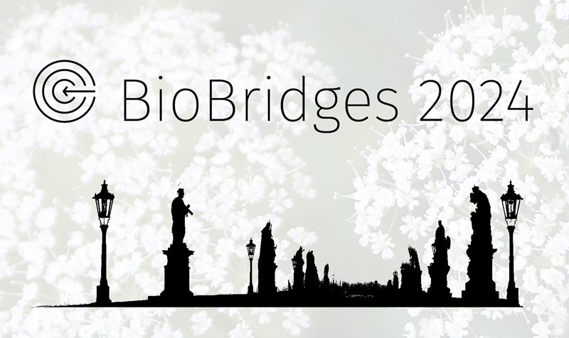 BioBridges 2024
