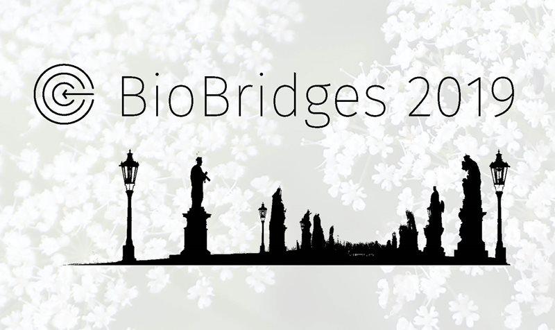 BioBridges 2019