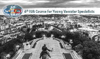 6TH IUA COURSE FOR YOUNG VASCULAR SPECIALISTS 